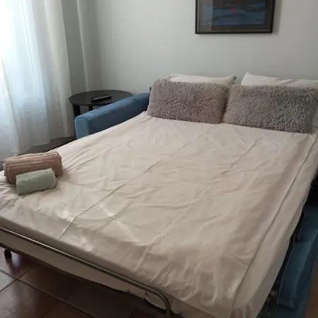 Primerose * Saint-Raphaël