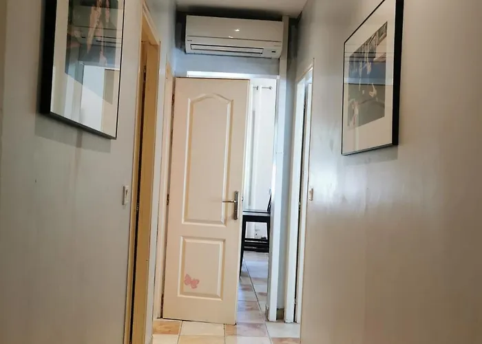 Primerose * Saint-Raphaël